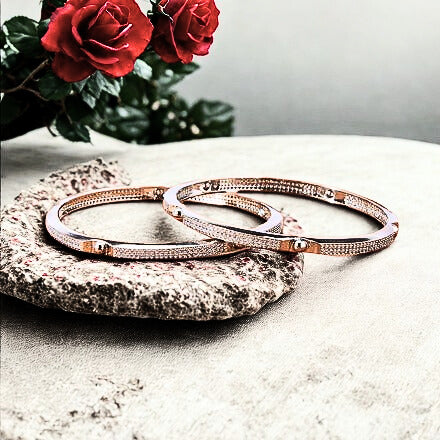 Zirkonia slavenarmbanden - 1 paar - zilverkleurig